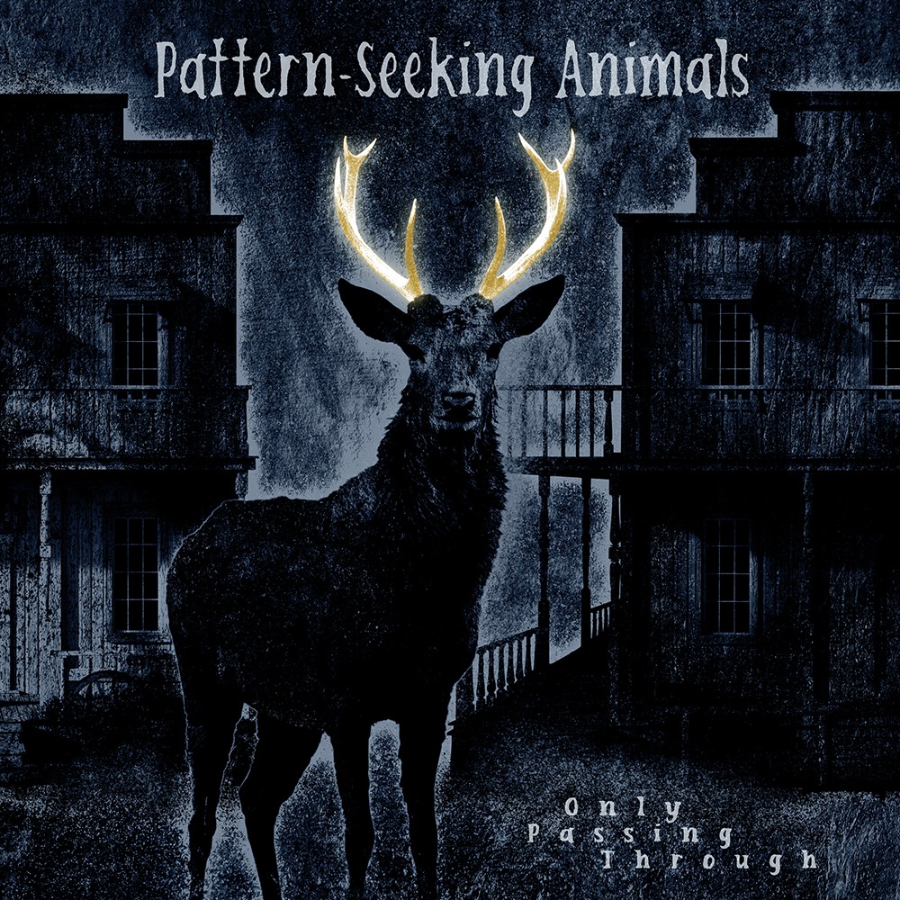 Pattern-Seeking Animals - Only Passing Through (Album Review) - The Prog  Report