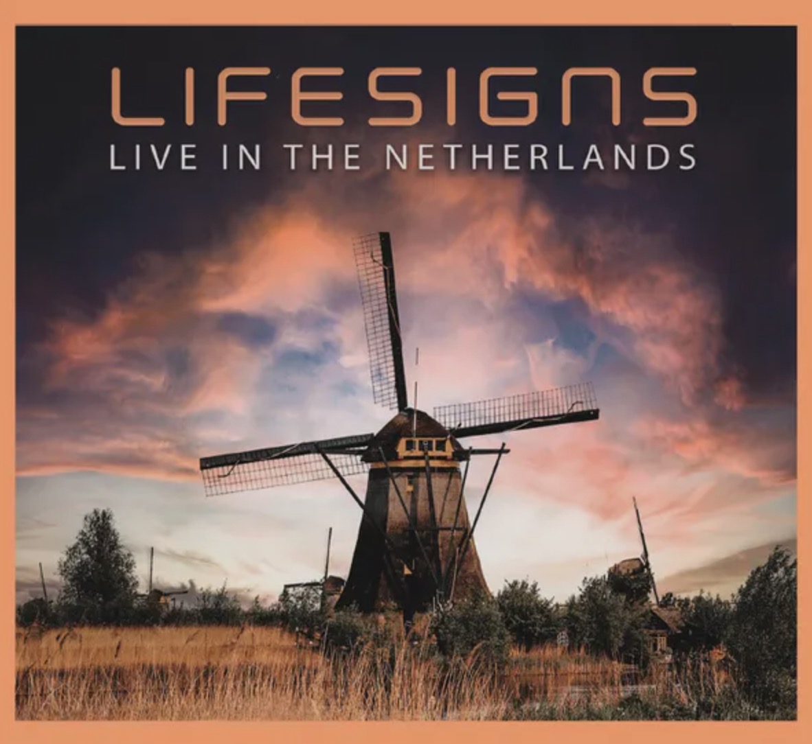 The Life I Live festival 2022 (Or: King's Night in The Hague